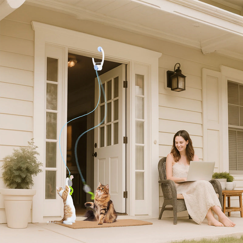 Door-Hanging Interactive Electric Cat Toy