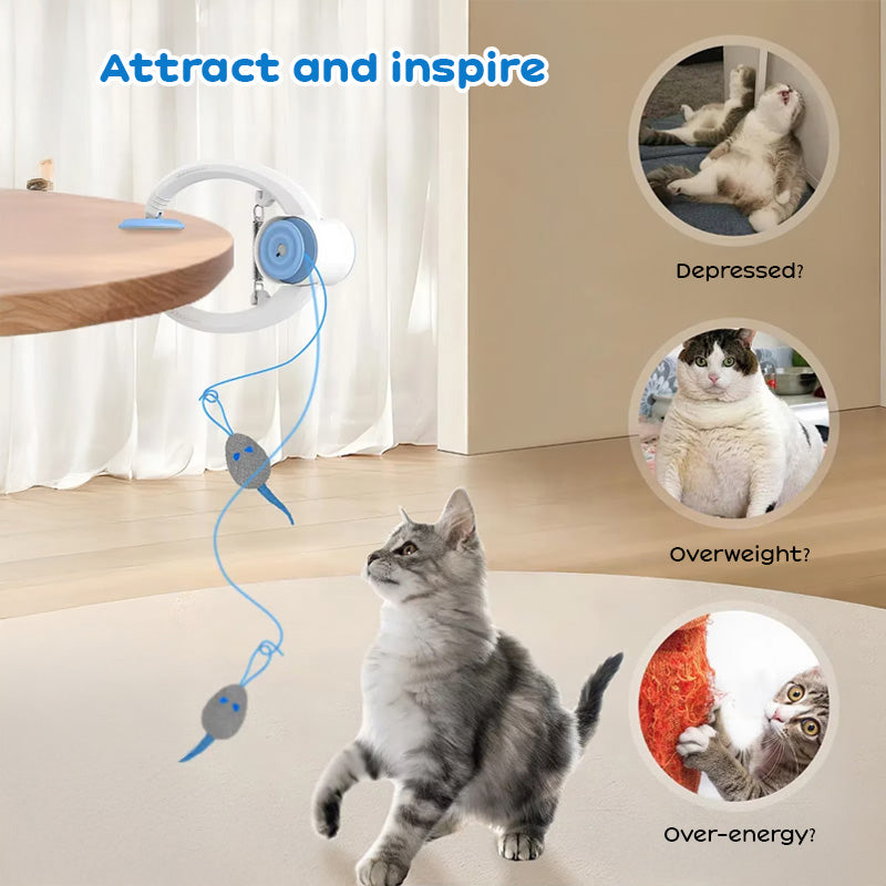 Door-Hanging Interactive Electric Cat Toy