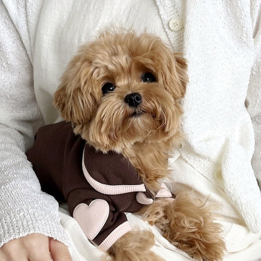 Heart-Print Plush Dog Onesie