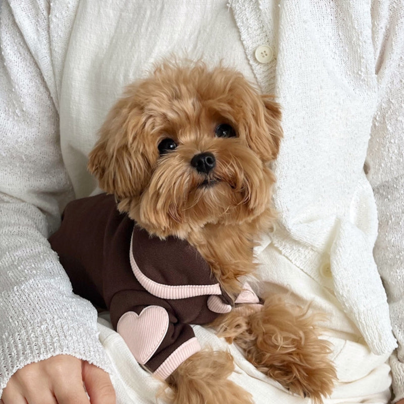 Heart-Print Plush Dog Onesie