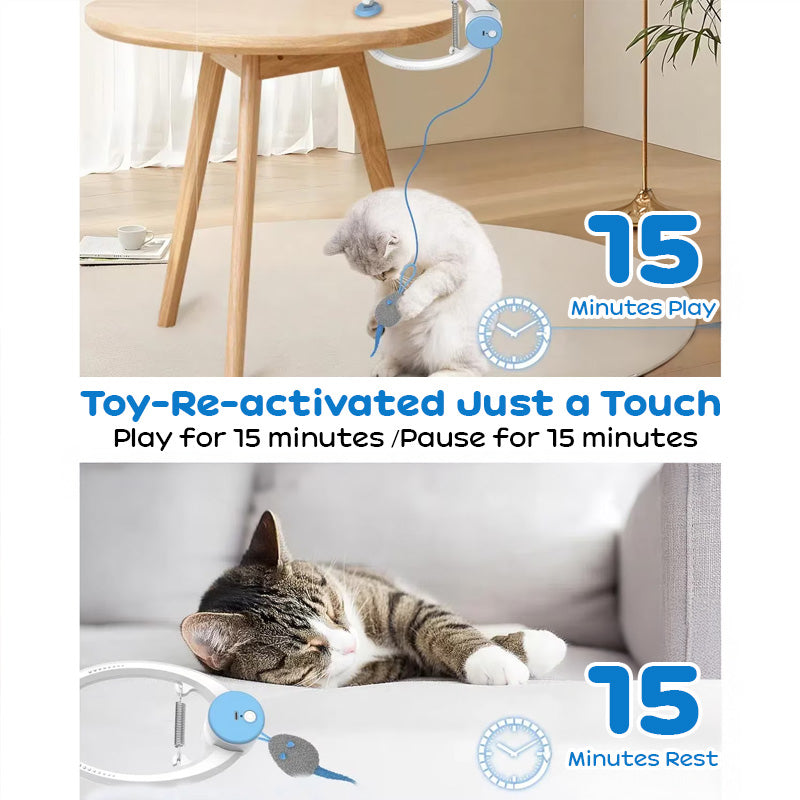 Door-Hanging Interactive Electric Cat Toy